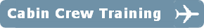 Plane Training Mobile - cabin crew training